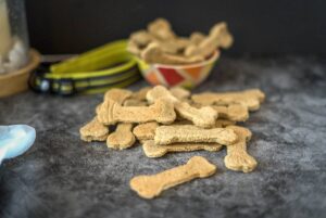 salmon dog treats in the shape of a bone