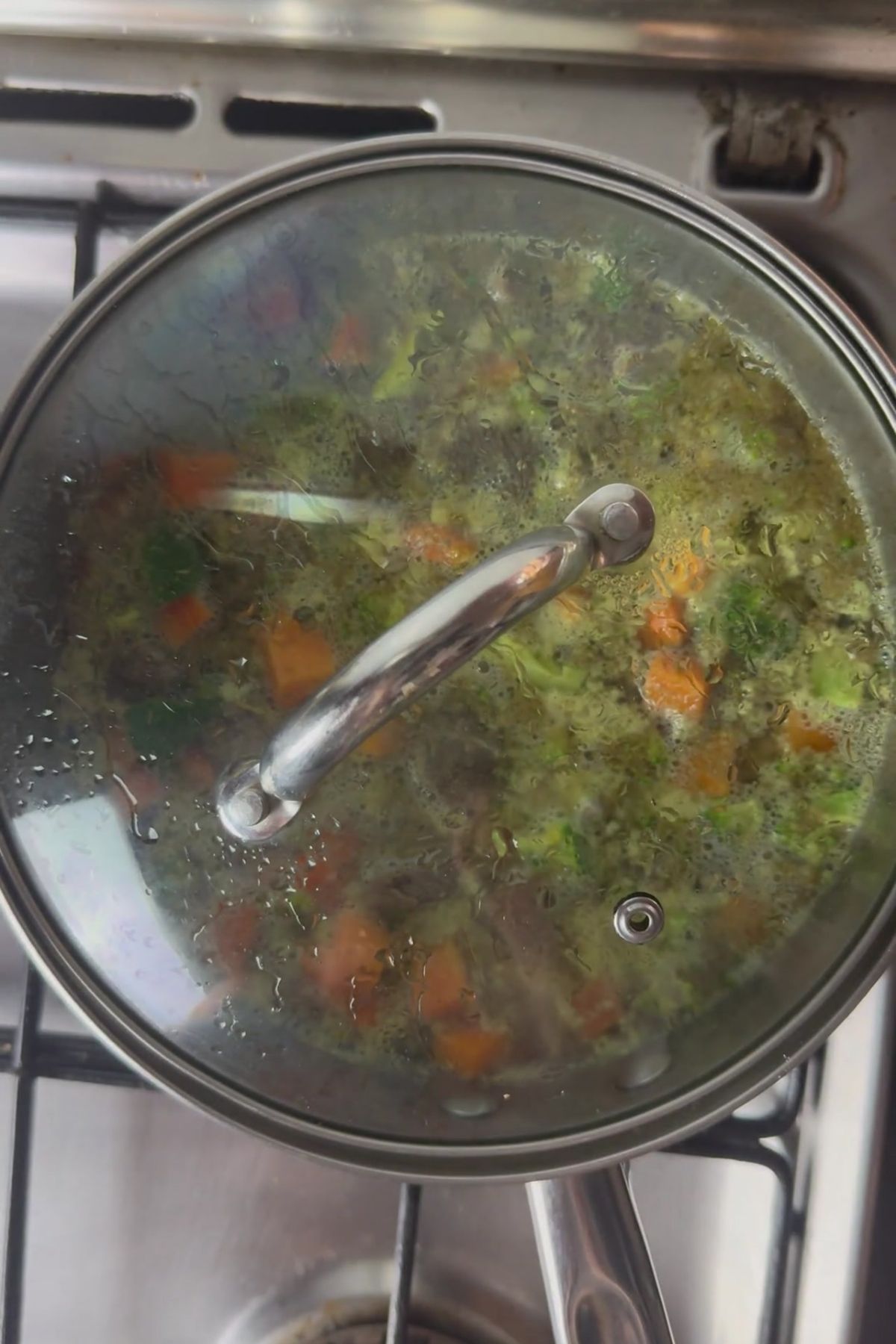 A pot with a glass lid cooking vegetable soup, similar to a wholesome beef stew for dogs, shows visible pieces of carrot and broccoli simmering on a gas stove.