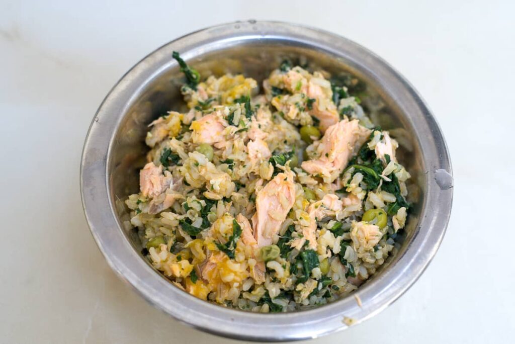 Salmon homemade 2025 dog food