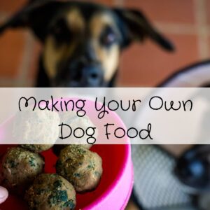 Making own dog food
