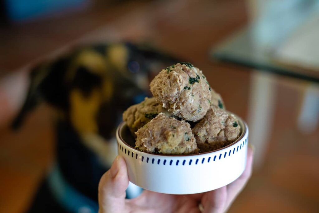 chicken meatballs for dogs
