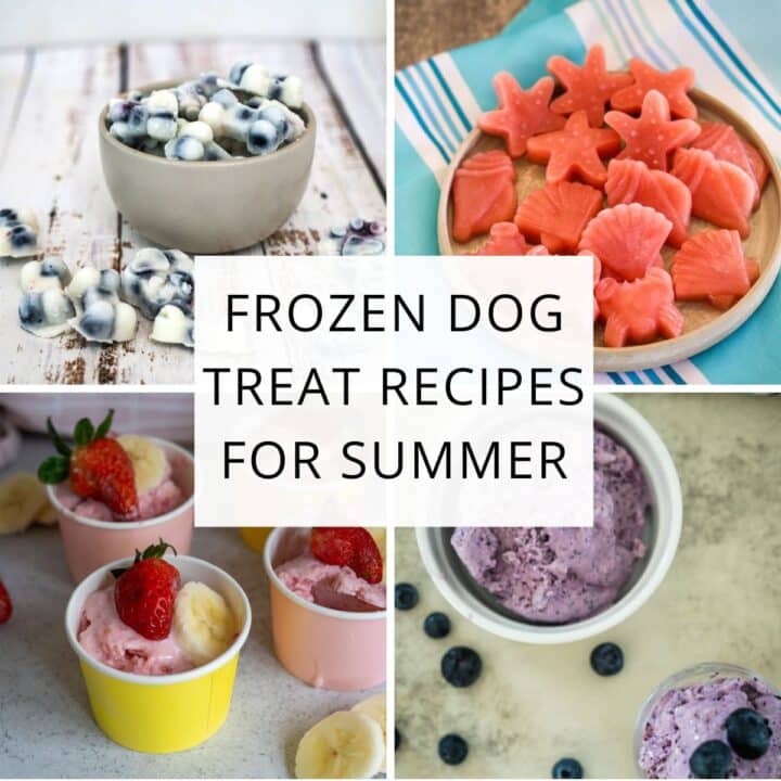 A collage of four different frozen dog treats, including yoghurt-covered blueberries, watermelon shapes, fruit cups, and a blueberry blend, with text "Frozen Dog Treat Recipes for Summer." Perfect homemade snacks to keep pups cool!.