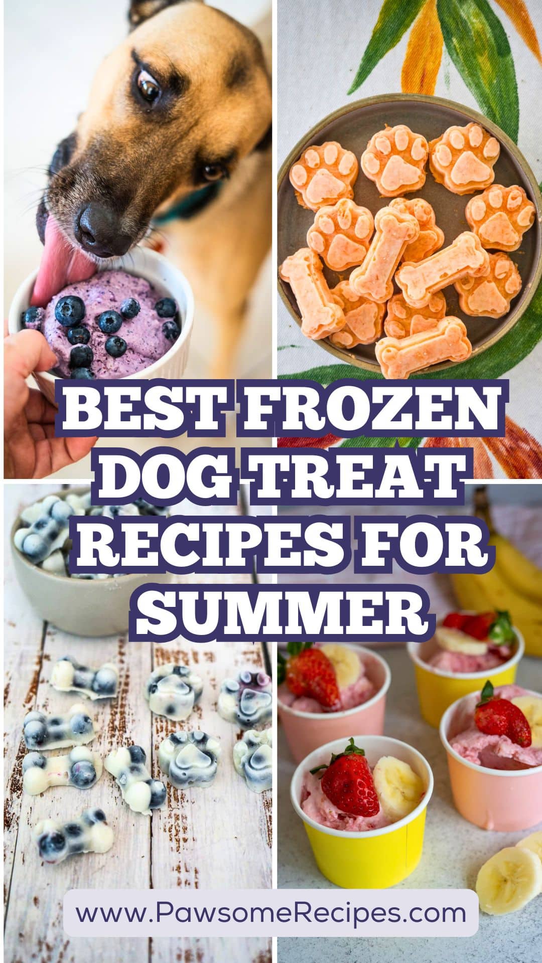Collage of various frozen dog treats, including blueberry and fruit cups, bone-shaped treats, and paw-shaped bites, with text: "Best Frozen Dog Treat Recipes for Summer—perfect frozen dog treats to keep pups cool.