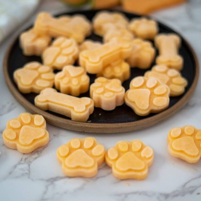 cantaloupe dog treats