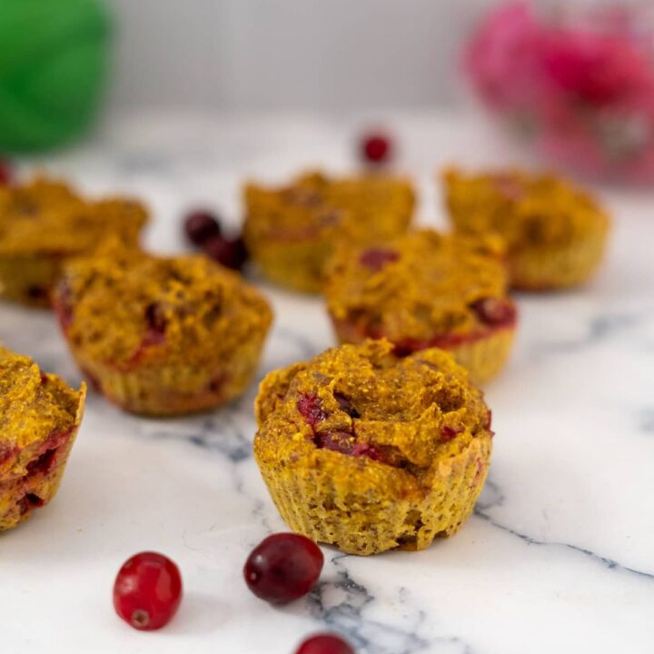 Pup Cakes Archives - Pawsome Recipes