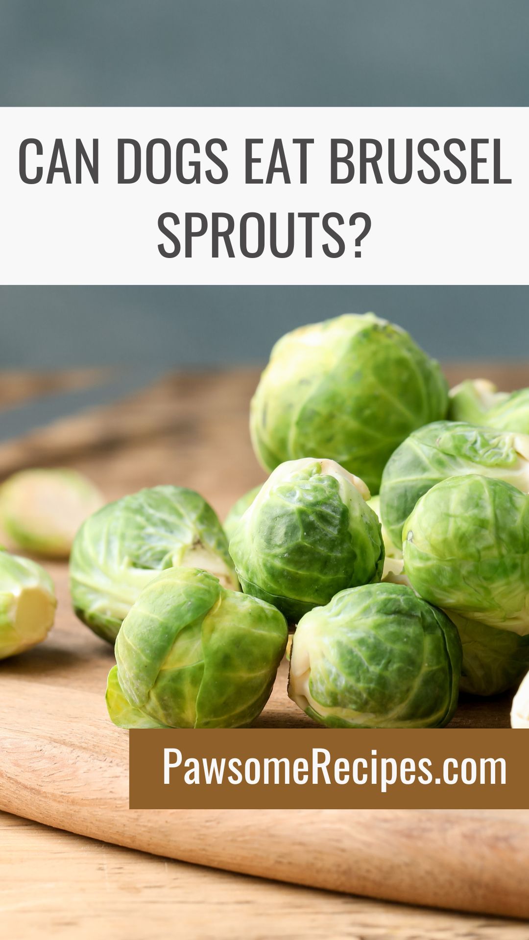 A close-up of fresh Brussels sprouts on a wooden chopping board with text asking, “Can Dogs Have Brussels Sprouts?” and a website link.