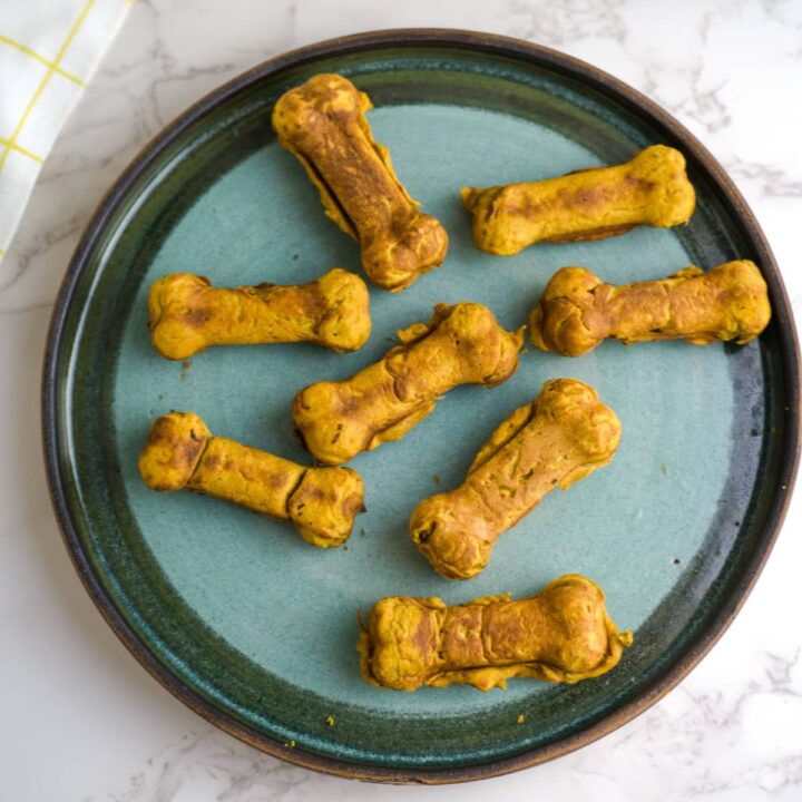 pb pumpkin dog treats