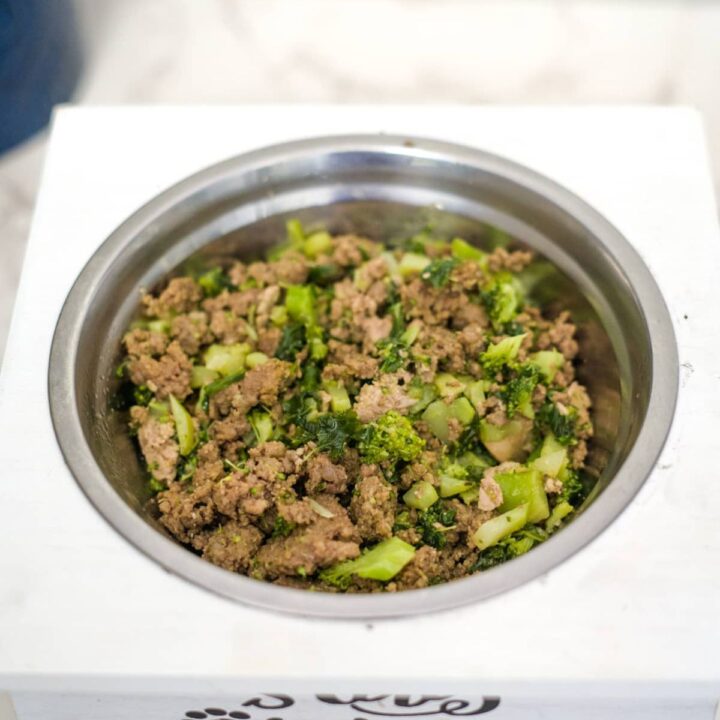 Fresh Look at Homemade Pork Dog Food Recipe