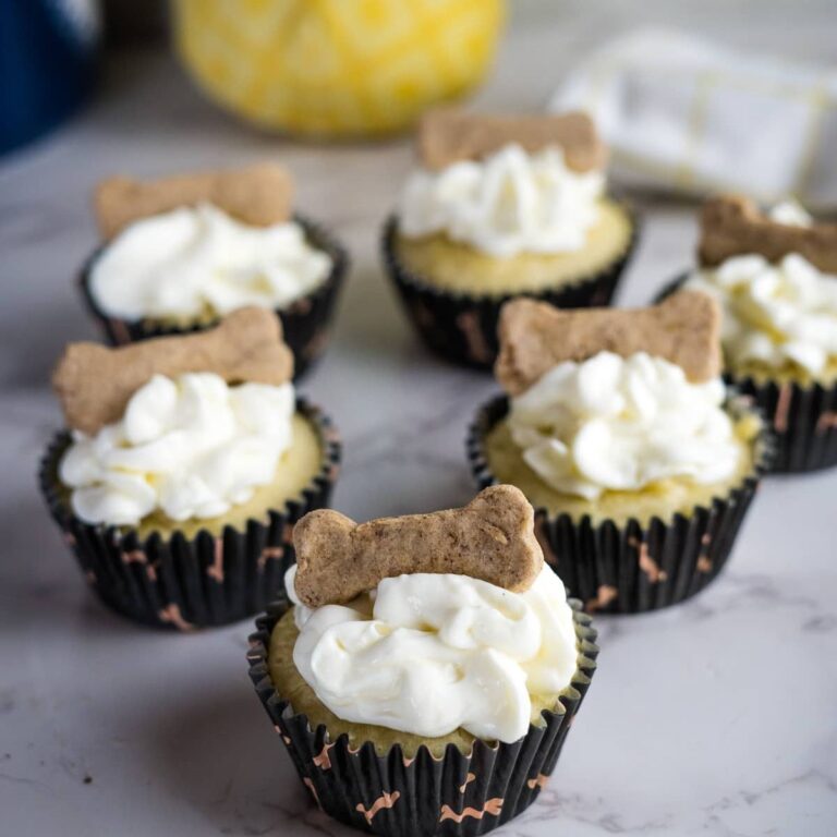 apple cheddar pupcakes