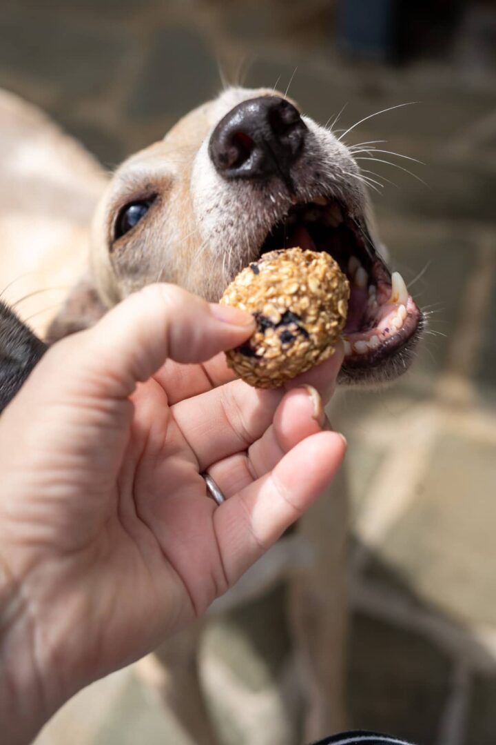 15 Banana Dog Treats - Soothing Anxious Dog With Banana