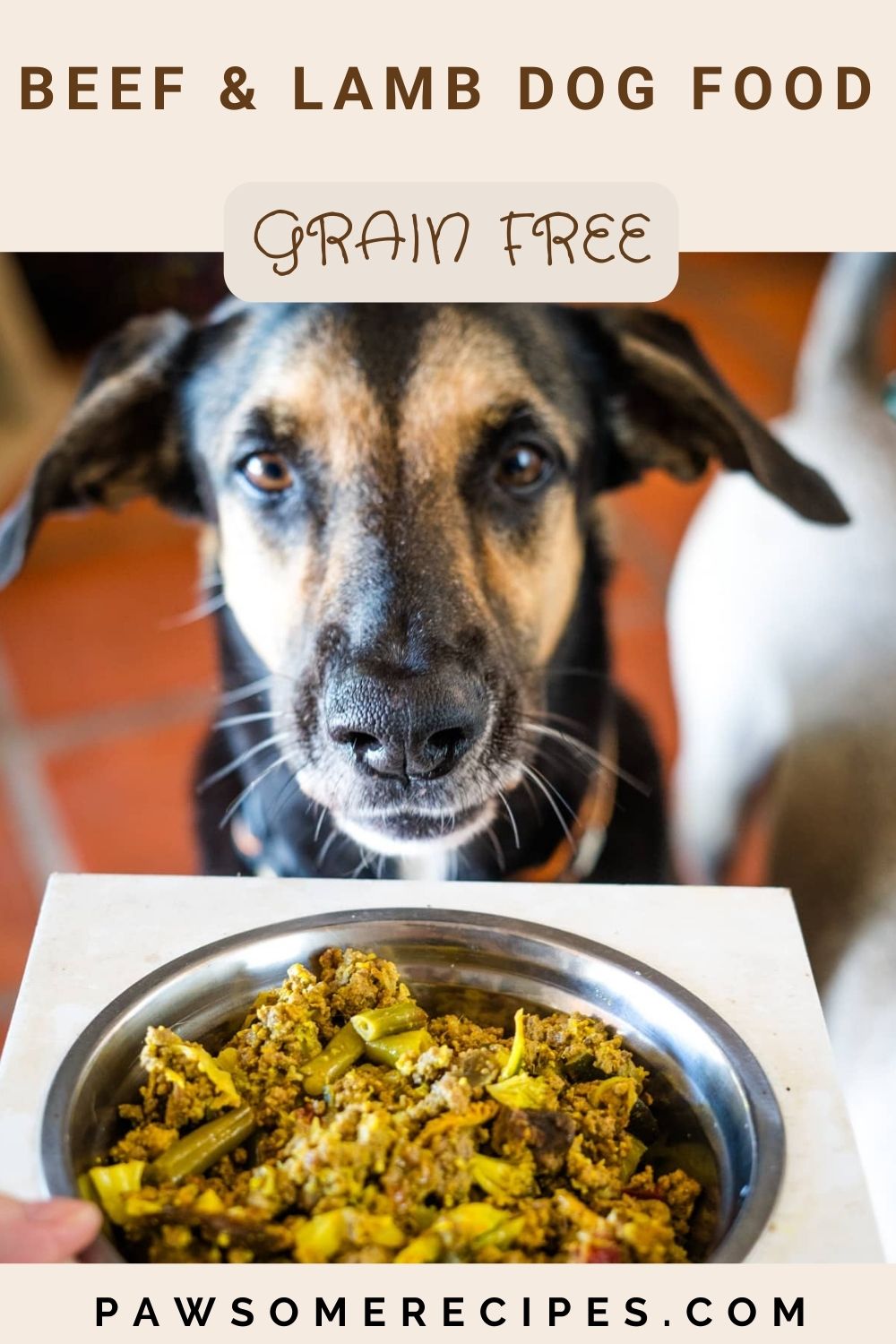Grain Free Beef & Lamb Dog Food Recipe - Make Homemade Lamb Dog Food No Grains
