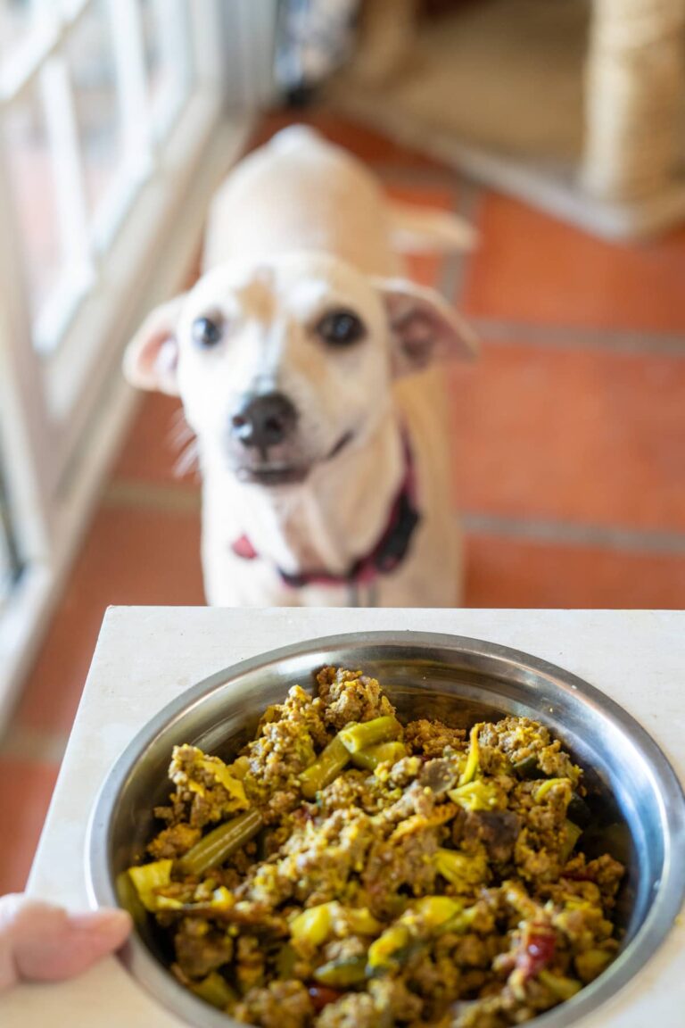 Image showcasing Grain Free Beef & Lamb Dog Food Recipe