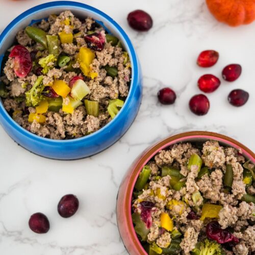 Two bowls with meat, vegetables and cranberries.