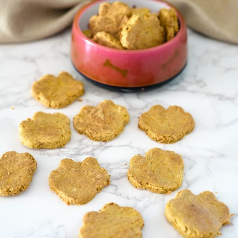 Pumpkin paw print dog treats on a marble table.