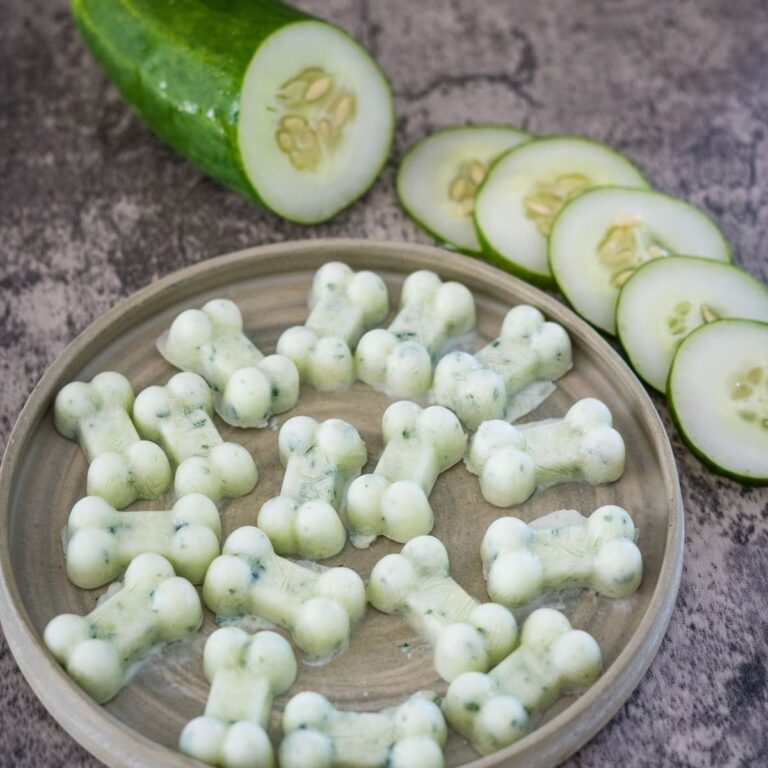 Homemade Tuna Dog Treats Pawsome Recipes