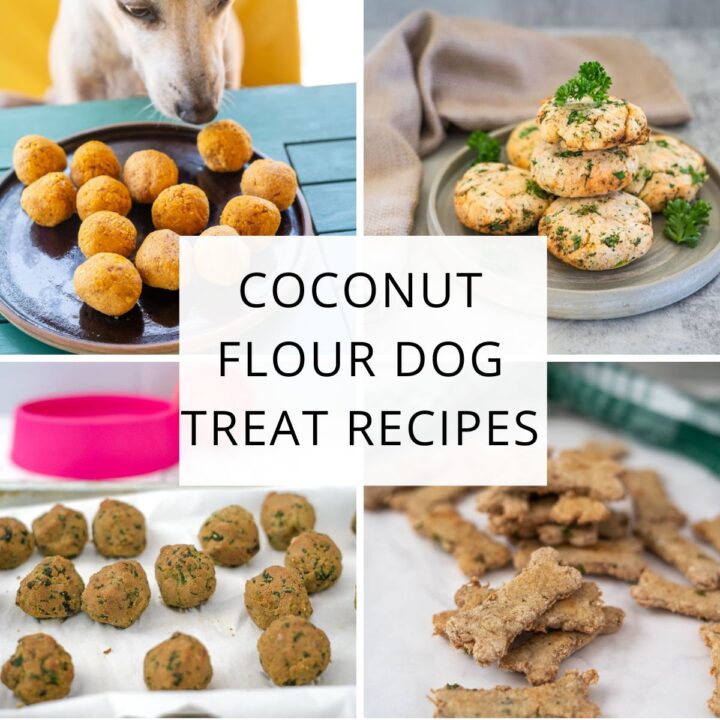A collage of four different coconut flour dog treats on plates and trays, featuring the text "Coconut Flour Dog Treat Recipes" in the centre. Perfect inspiration for making healthy coconut flour dog treats at home!.