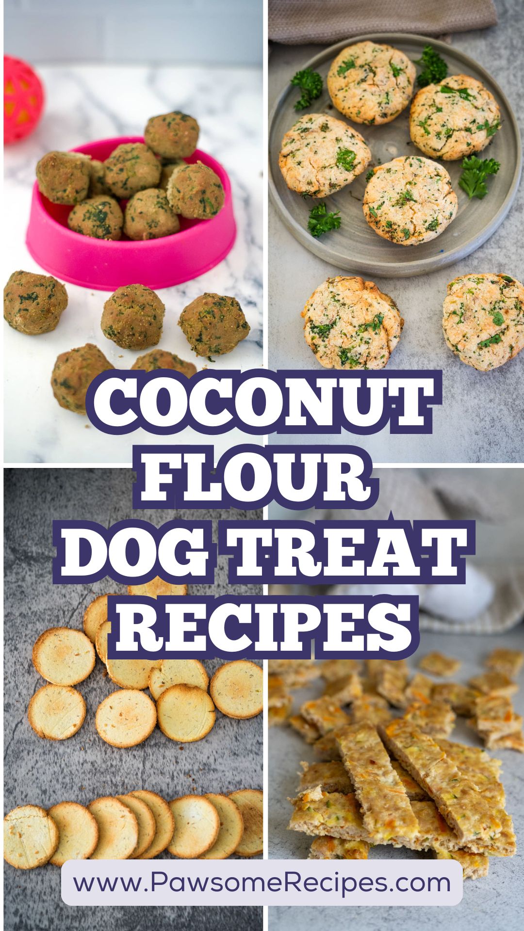 Four types of homemade coconut flour dog treats are displayed on plates and trays, with text overlay reading "Coconut Flour Dog Treat Recipes.