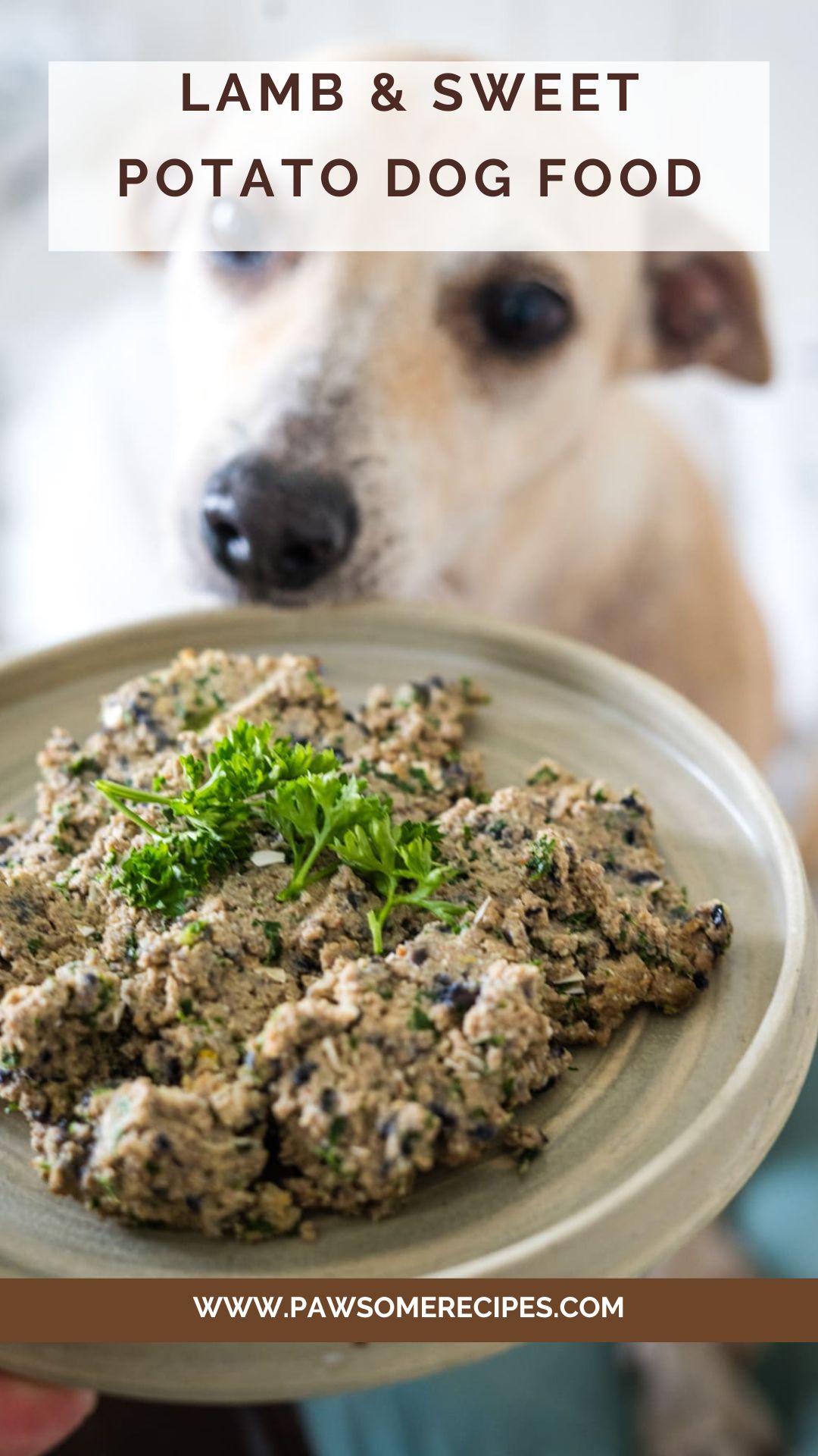 Image showcasing Lamb and Sweet Potato Dog Food