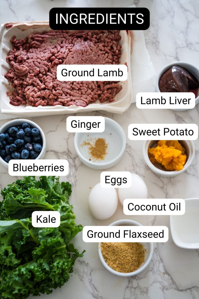 Lamb and Sweet Potato Dog Food
