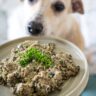 Lamb and Sweet Potato Dog Food - Small Breed Dog Food With Venison Sweet Potatoes Lamb Recipe