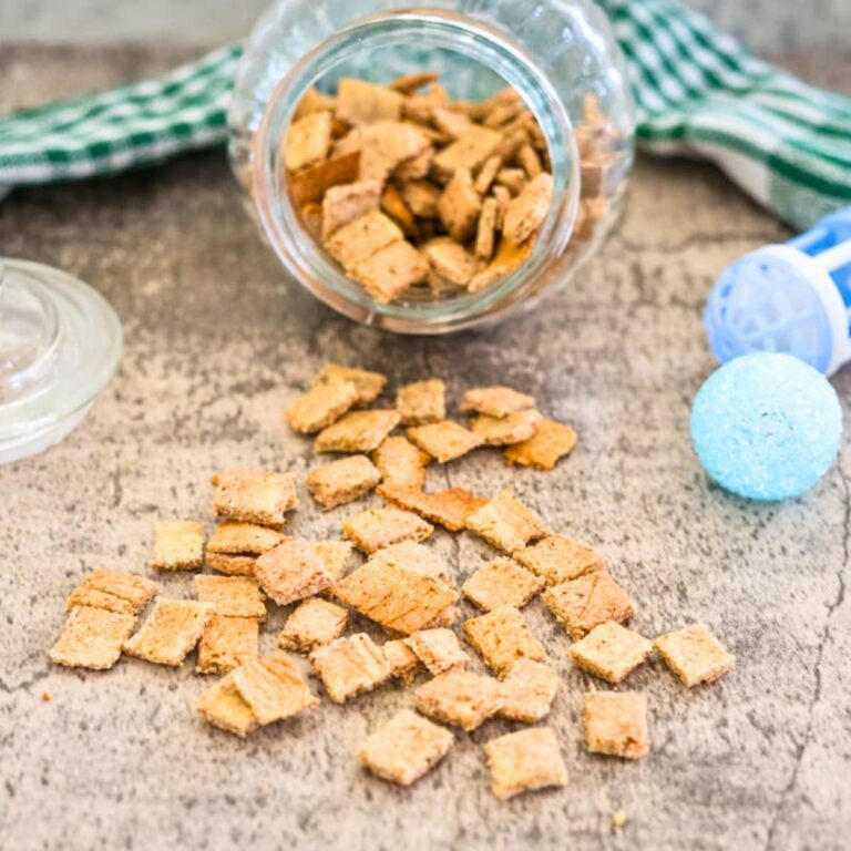 A jar of homemade brown croutons has spilled onto a textured surface next to a green gingham cloth and two blue spheres. The jar lid is open and placed to the left.