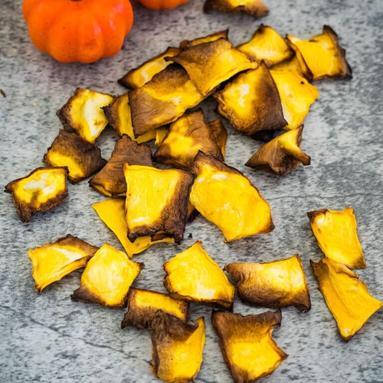 A pile of dried pumpkin slices on a gray surface, with a small, decorative pumpkin in the background.