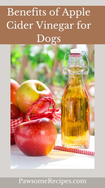Image showcasing Benefits of Apple Cider Vinegar for Dogs