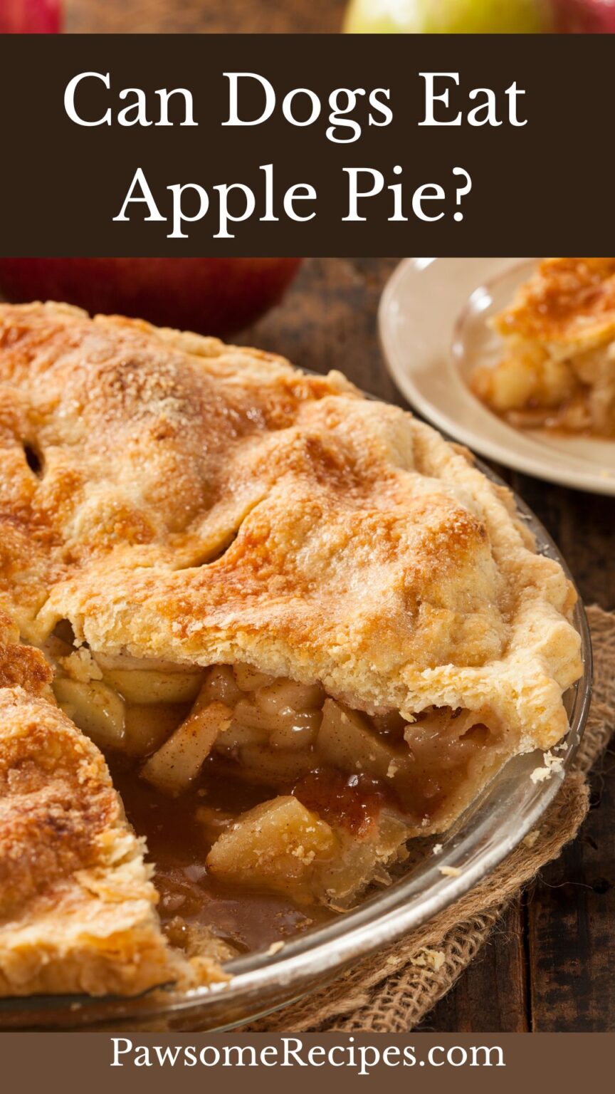 Photo inspiration: Gallery Detail: Can Dogs Eat Apple Pie