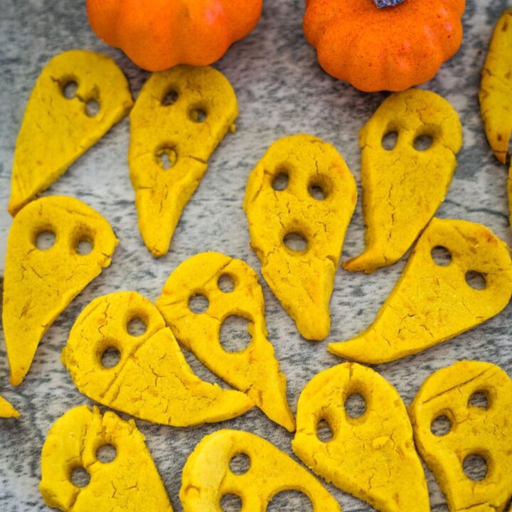Frozen Pumpkin Dog Treats