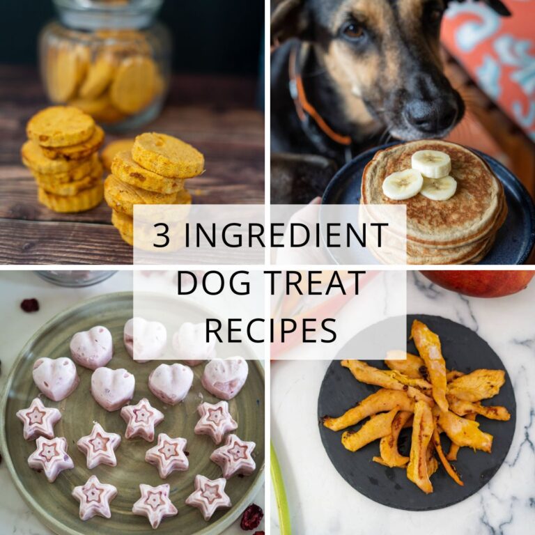 5 Coconut Flour Dog Treats