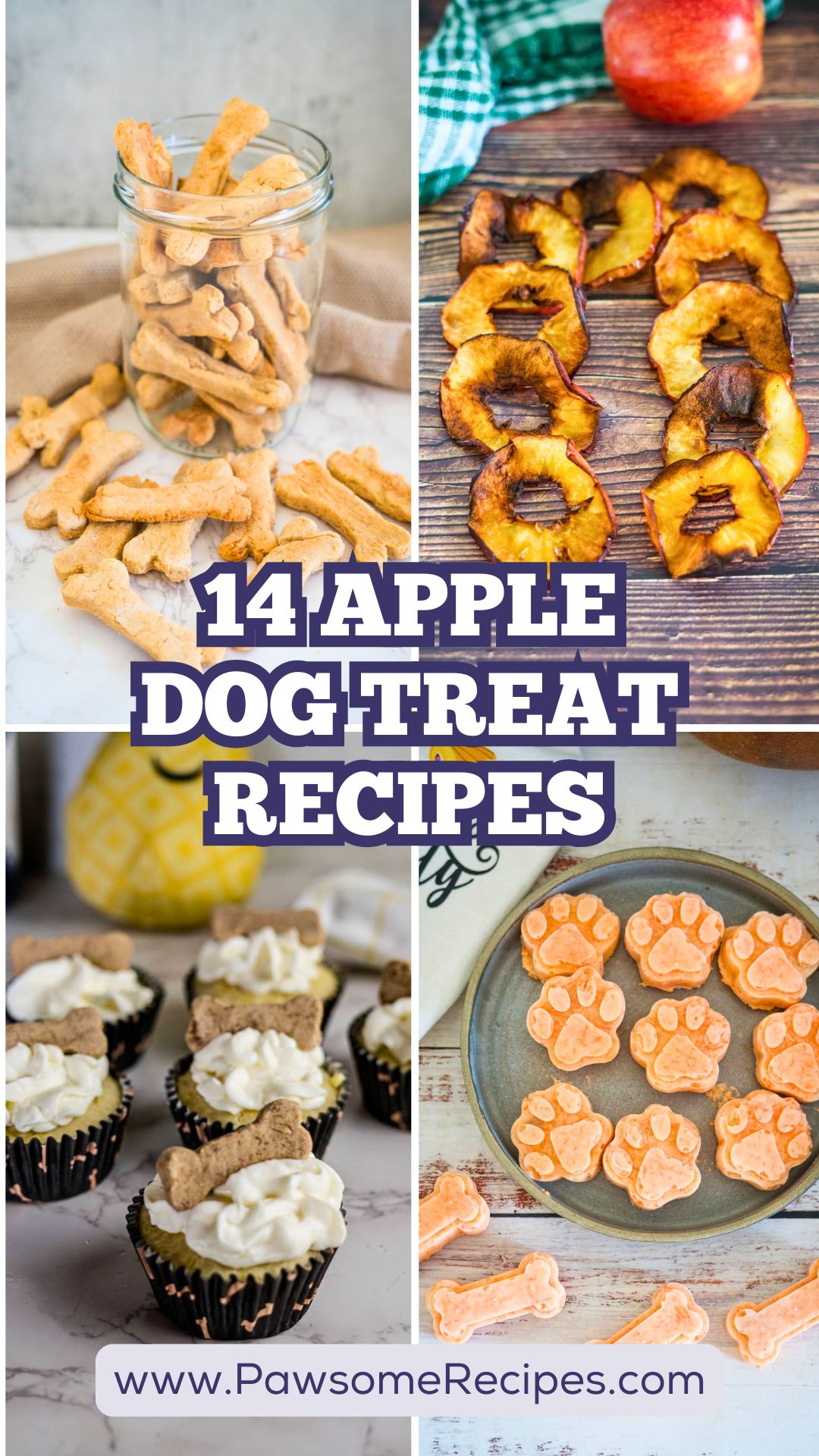 A collage showing four types of apple dog treat recipes: bone-shaped biscuits, baked apple slices, cupcakes with bones, and paw-shaped treats, with text “14 Apple Dog Treat Recipes.”.