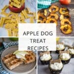 View of Apple Dog Treat Recipes