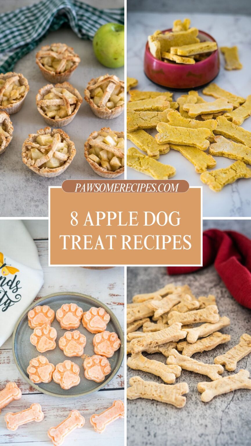 Picture of 8 Apple Dog Treat Recipes