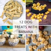 View of 5 Coconut Flour Dog Treats
