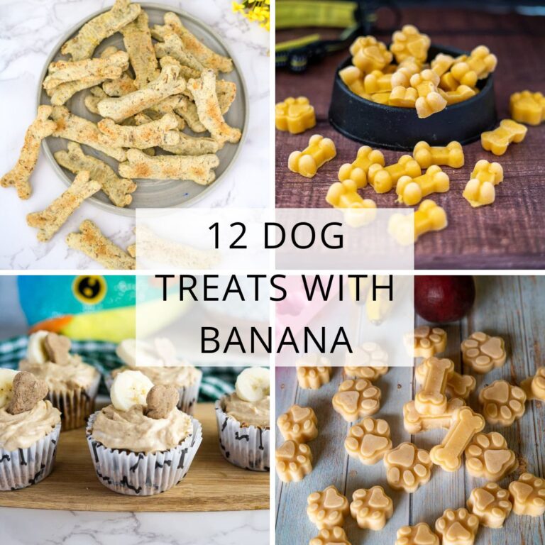 View of 12 Dog Treats with Banana