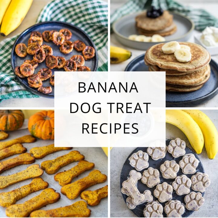 Photo inspiration: Fresh Look at 20 Banana Dog Treat Recipes
