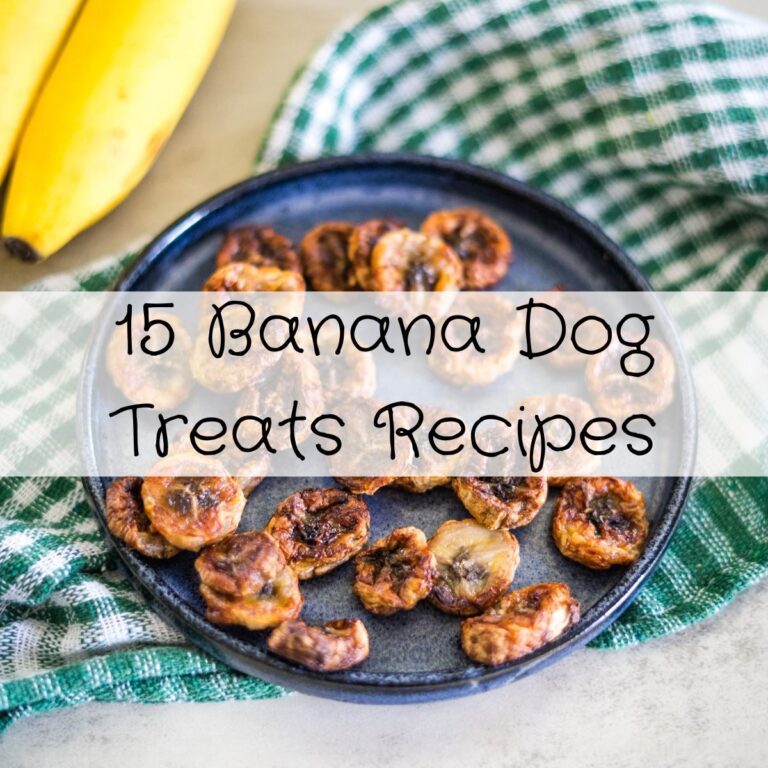 15 Banana Dog Treats