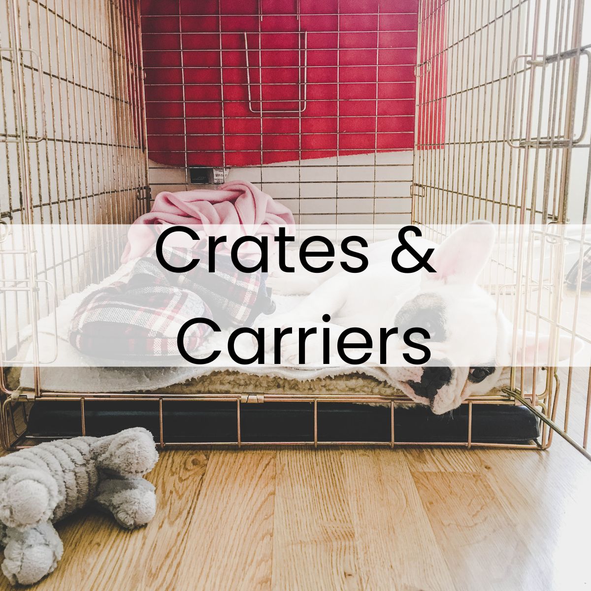 Dog resting in a metal crate with a blanket and a plush toy on a wooden floor. Text overlay reads "Crates & Carriers.