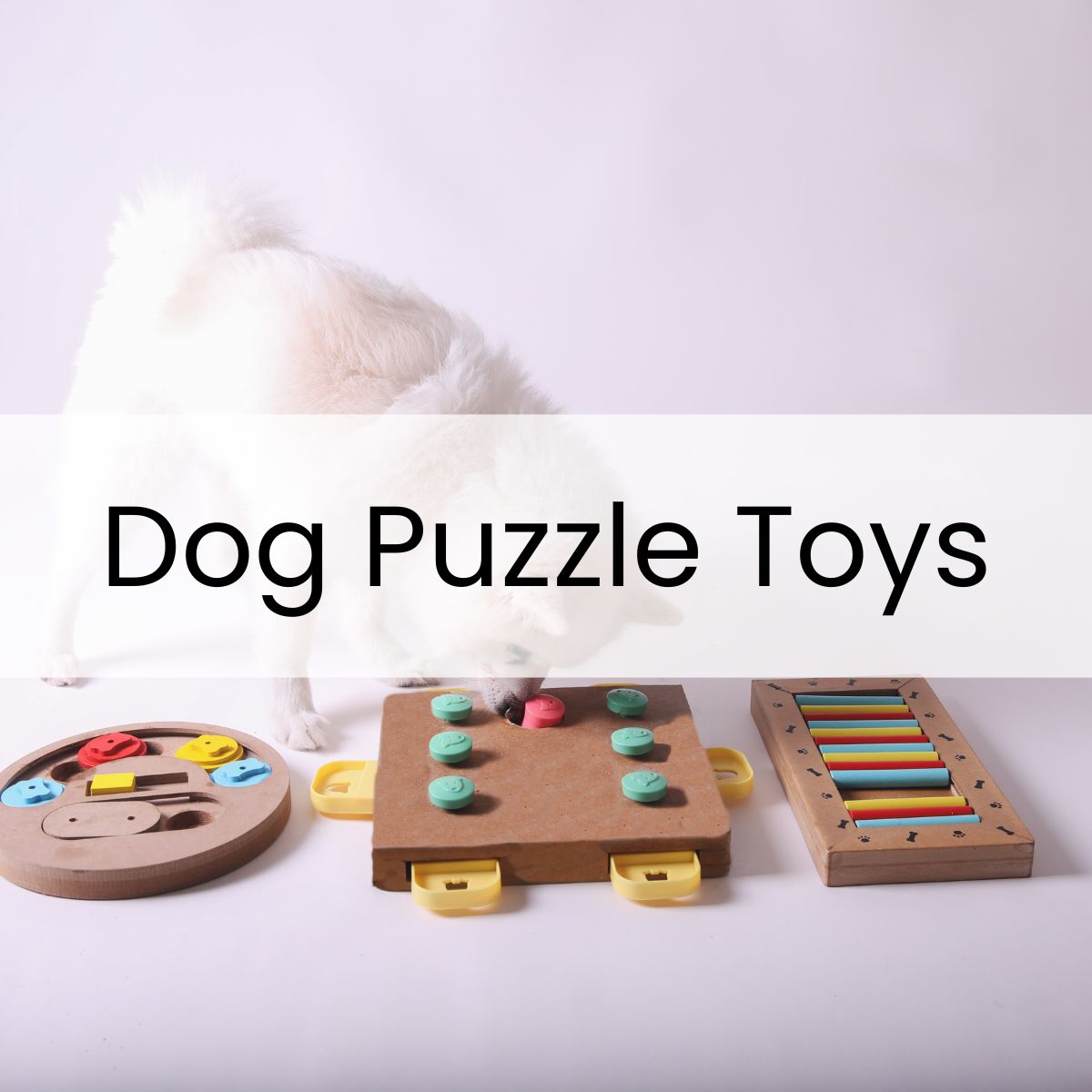 White dog interacting with three different dog puzzle toys on a white background.