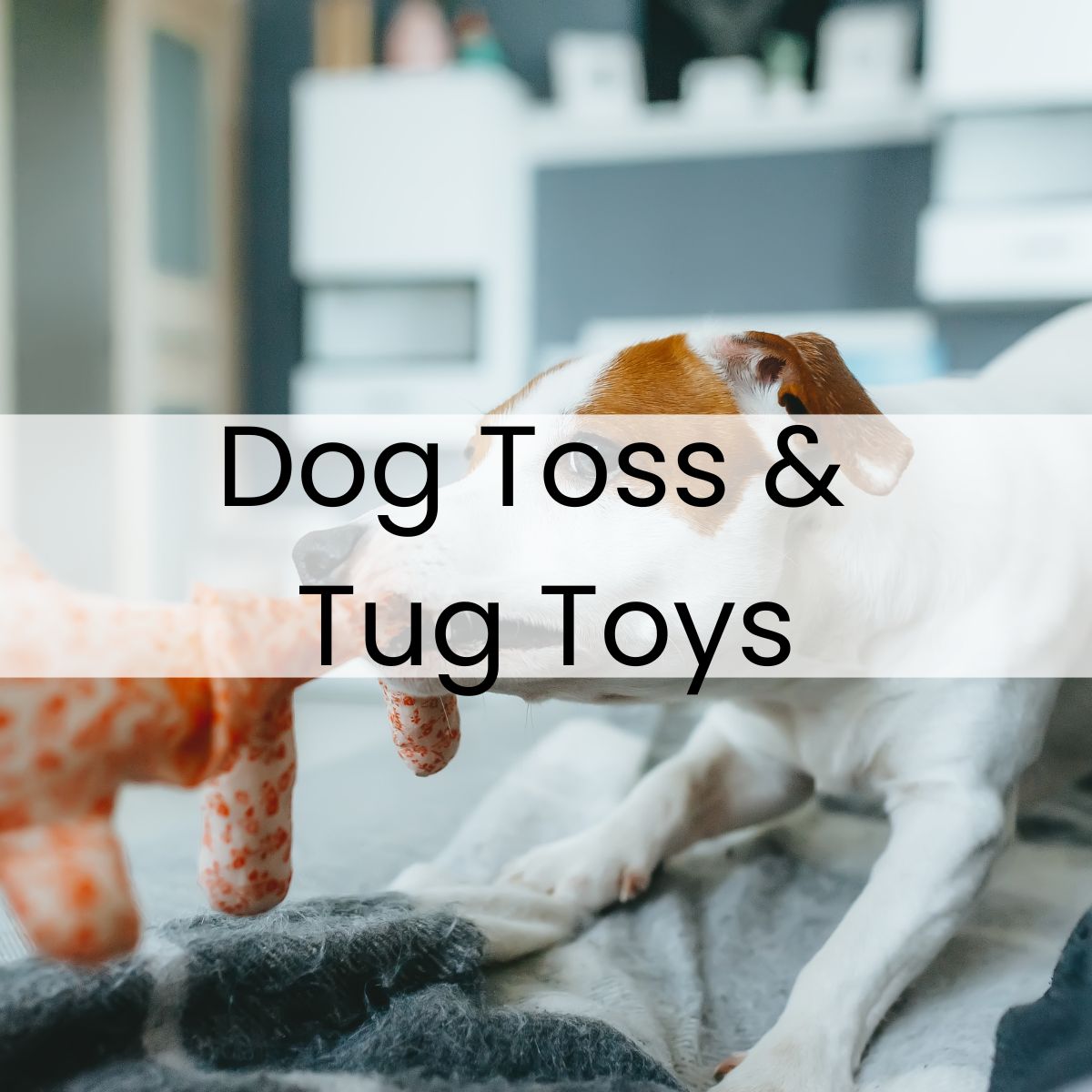 A dog plays tug-of-war with a plush toy, showcasing the text "Dog Toss & Tug Toys.