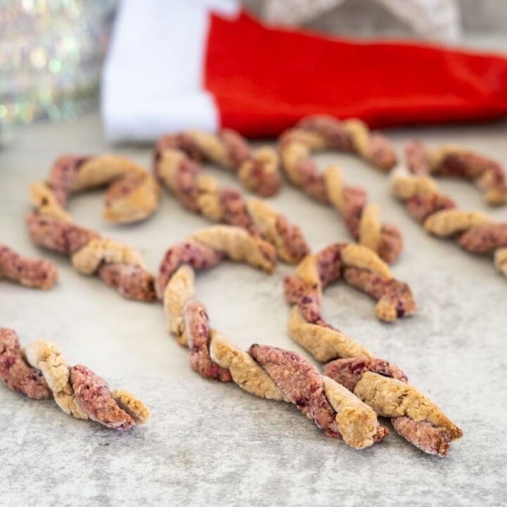 Frozen Pumpkin Dog Treats