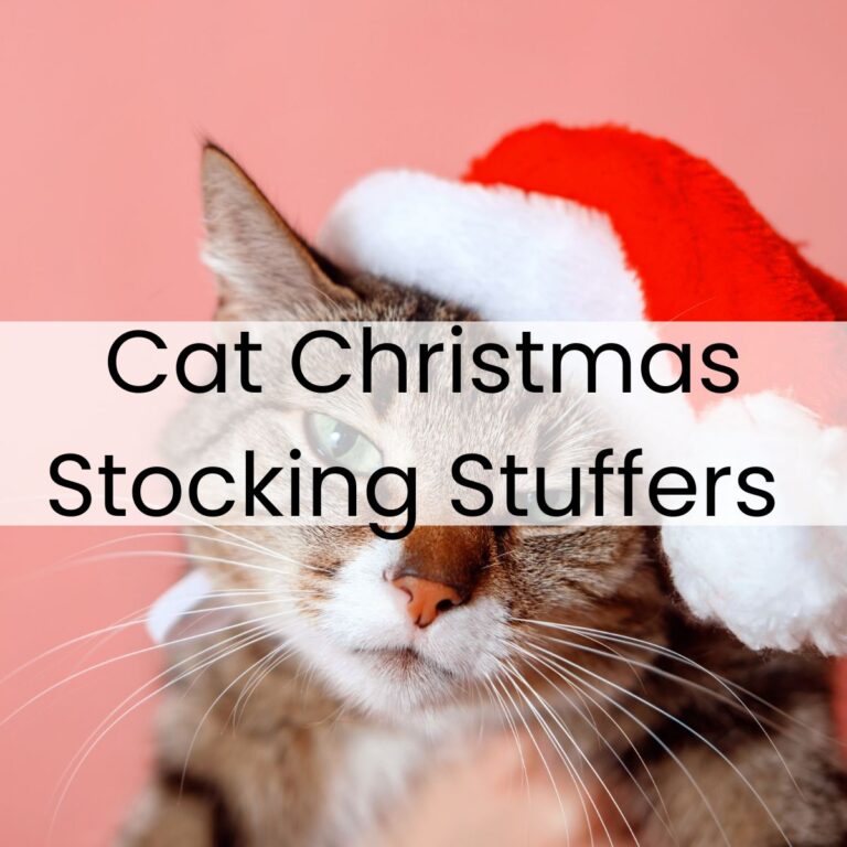 Cat Christmas Stocking Stuffers