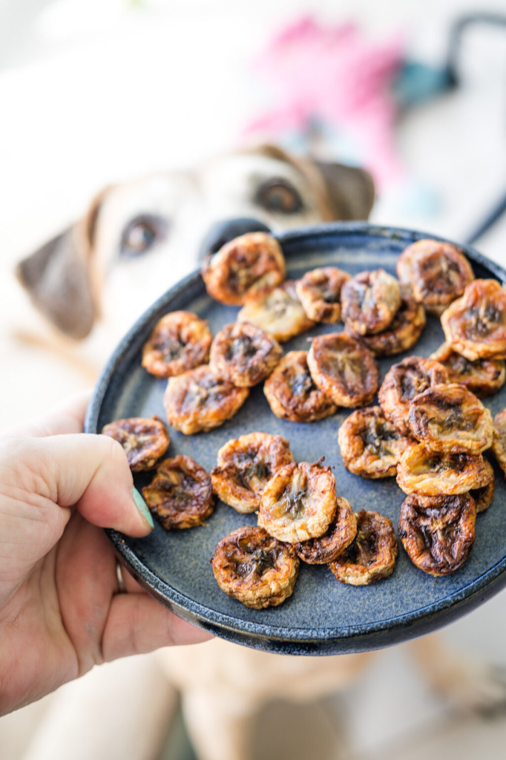 View of Banana Chips for Dogs