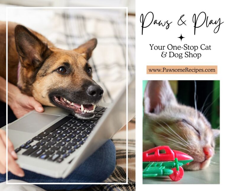 Salmon Dog Food Recipe with Spinach & Pumpkin
