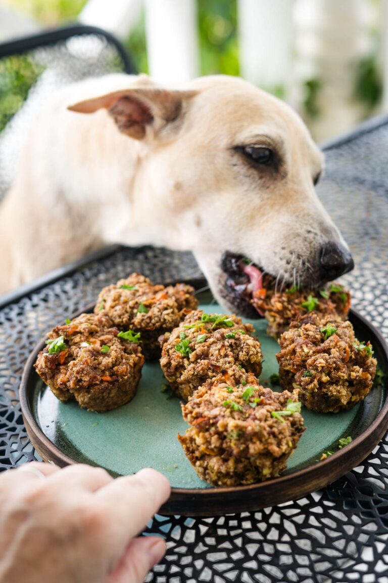 Beef Muffins For Dogs