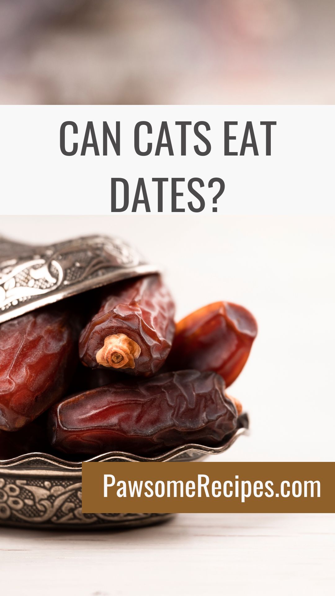 Ornate dish filled with dates, overlaid with text "Can Cats Eat Dates?" and "PawsomeRecipes.com".