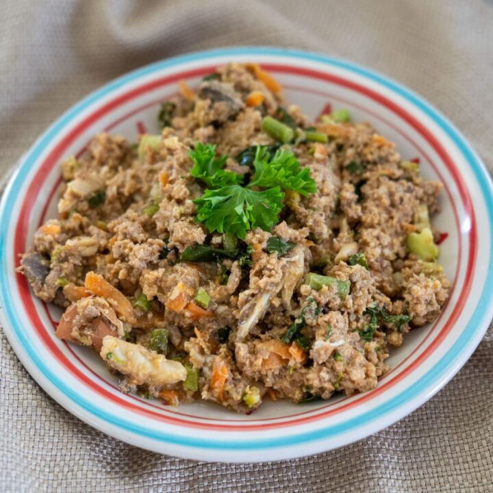 View of Homemade Turkey Dog Food with Veggies