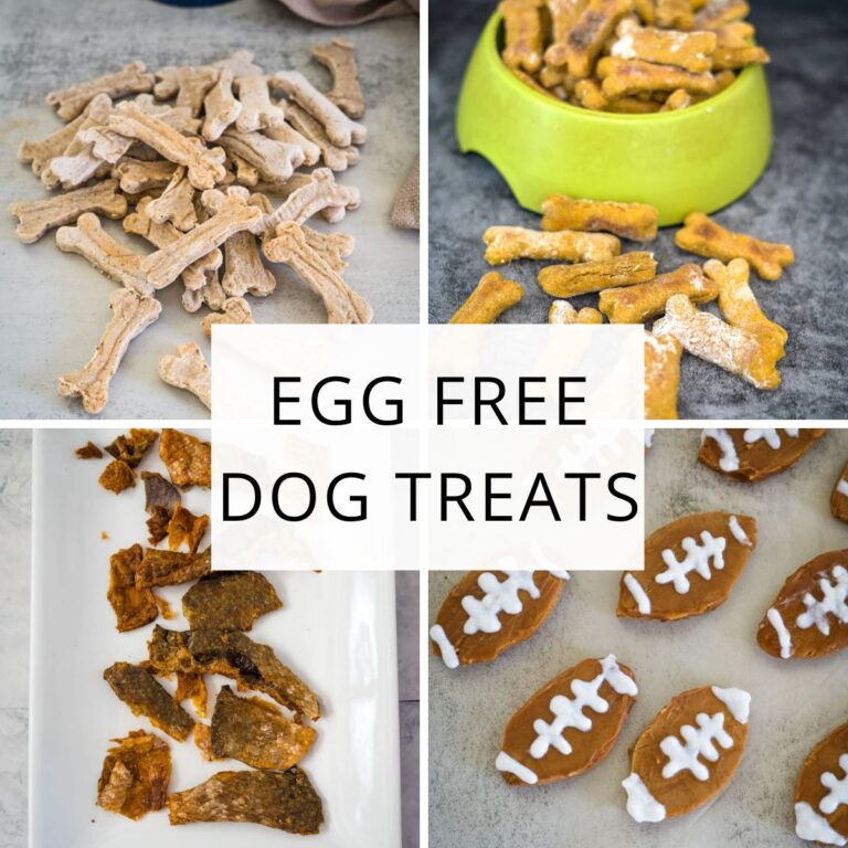 View of Egg Free Dog Treats