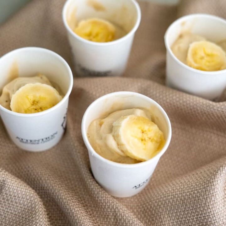 Banana Dog Ice Cream