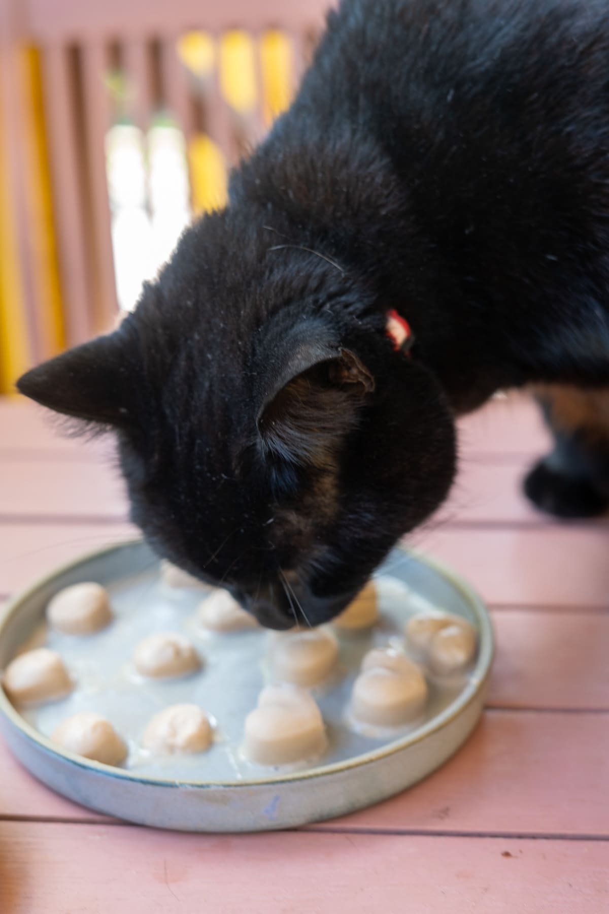 A black cat eats from a round dish containing several small, round portions of food on a pink wooden table.